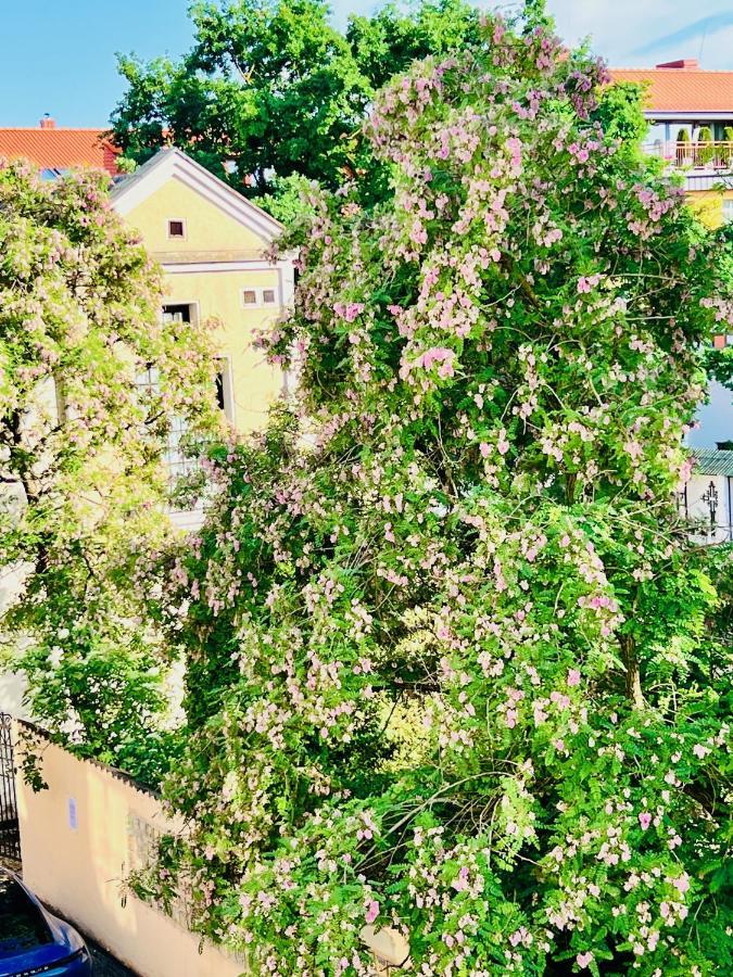 Super Apartment Old Town Klaipėda Buitenkant foto